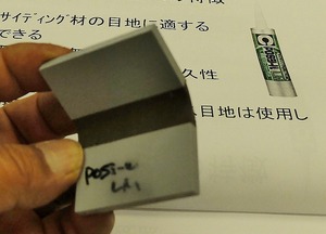 DSCF4010