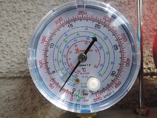 DSCN7164