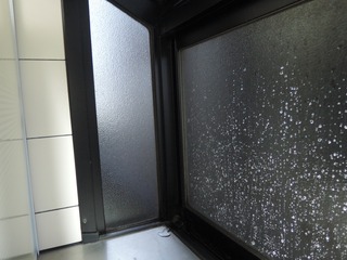 DSCN8862