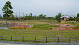 新庄総合公園02