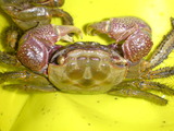 560c3b1c.jpg