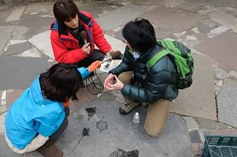 120116_nishigawa_014