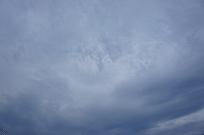DSC00359
