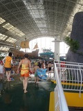 mini_P7151604_05