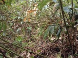 l-DSCF0836