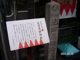 85d6e905.JPG