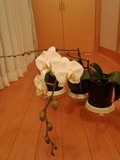 20120712_00