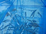 10-10-03_01