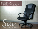 sai-13