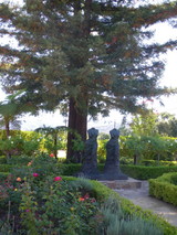 napa 8