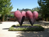 napa 6