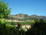 napa1