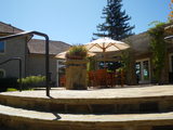 napa 7