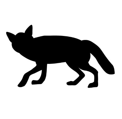 bandicam 2019-03-12 06-04-54-942