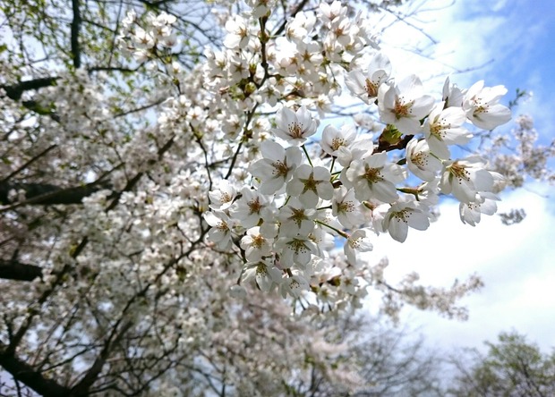 _20180509_143145