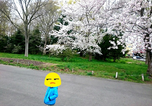 _20180509_144920