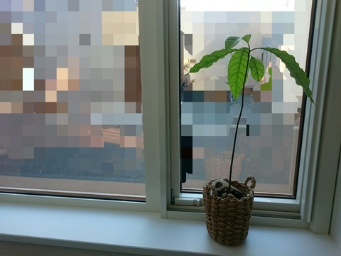 PhotoGrid_1509191192287