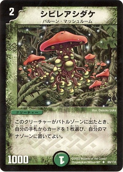 card73712005_1