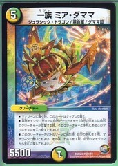 images (13)