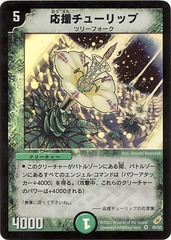 card100053605_1