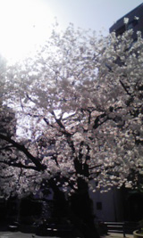 2008032901