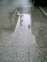 909ef4f2.jpg
