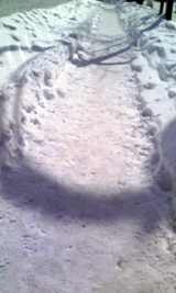 2008022601