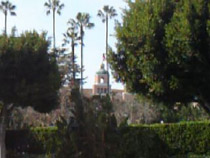 2006020806