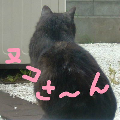 BlogPaint