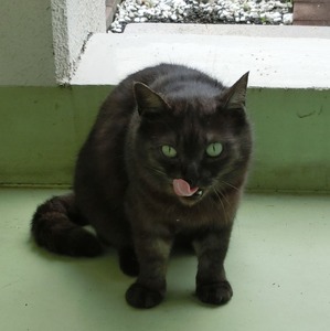 CIMG0239