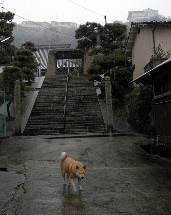 DSCN0778