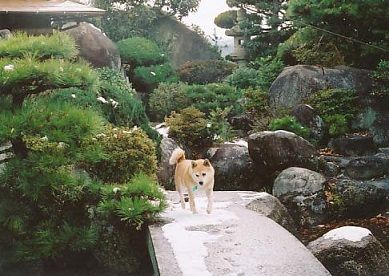 yuki