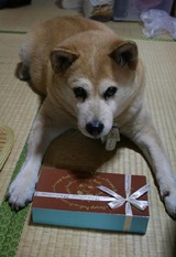 クリスマス・イブ