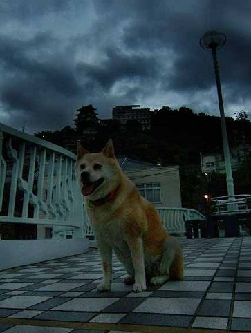 嵐
