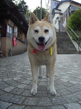 ハートの首飾り
