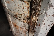 DSC00367