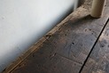 DSC08481
