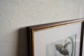 DSC00623
