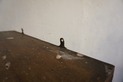 DSC01053