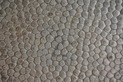 DSC09599