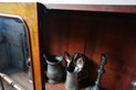 DSC03284