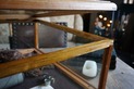 DSC09404
