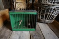 DSC03161