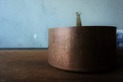DSC02247
