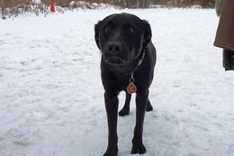 に　ブリンクリー