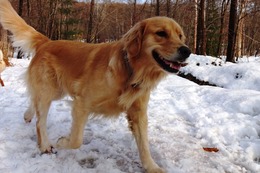 た ライト 11・19→12・31