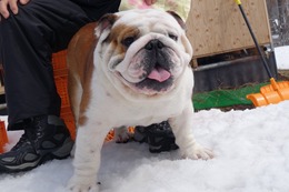 さ　ももたろう