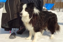 つ ビリー 3・14→3・17