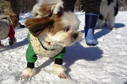 と　ロッキー　２・２→２・８　２