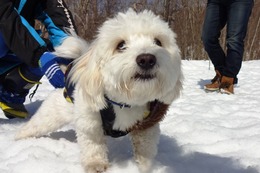 な　コロン　新10か月